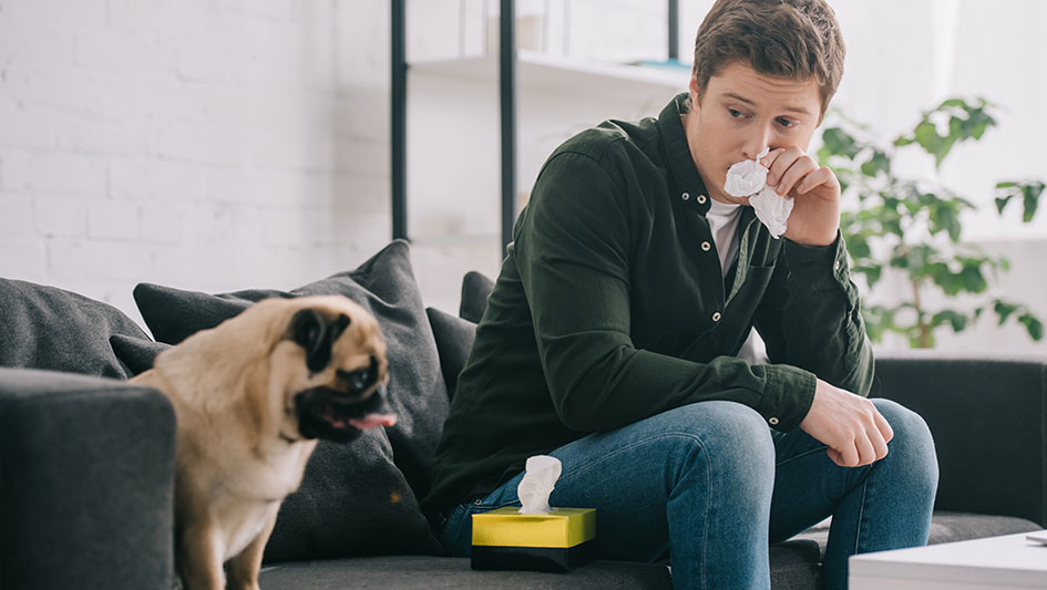 Getting an air purifier is one of the top approaches to improve your house’s indoor air quality. Find out more about the three top solutions. 